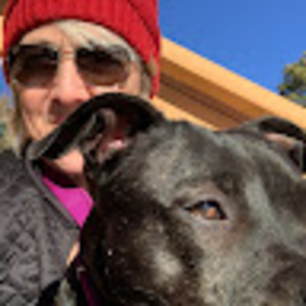 Meet your Posher, Jane